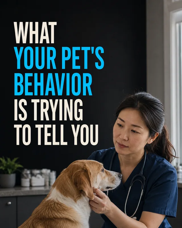 LinkedIn graphic reading “WHAT YOUR PET'S BEHAVIOR IS TRYING TO TELL YOU” over a female veterinarian in dark scrubs gently examining a dog