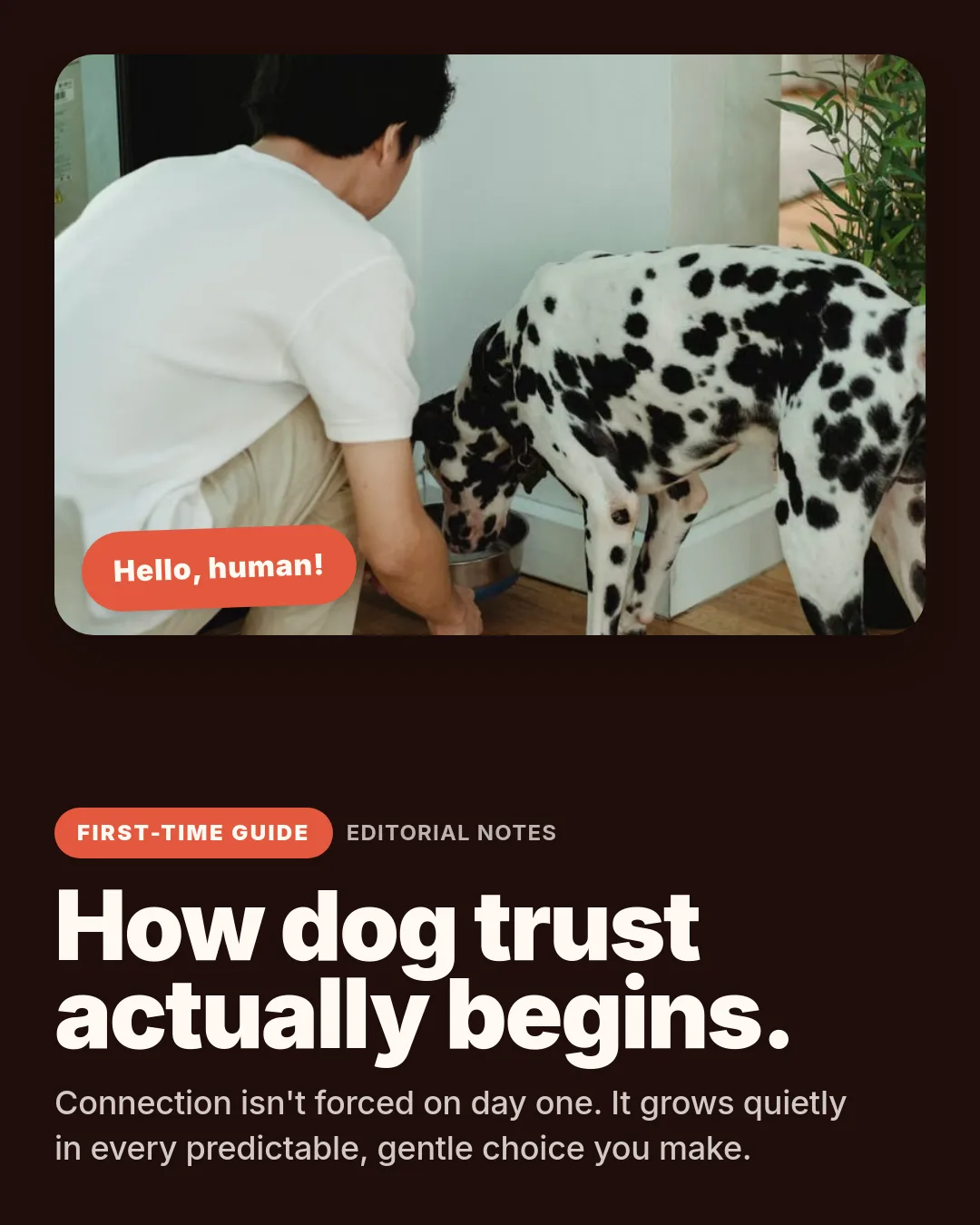 Free Coral Companion LinkedIn Carousel Template slide 1: Hello, human! First-Time Guide Editorial Notes How dog trust actually begins. Connection isn't forced on day one. It grows quietly in eve...
